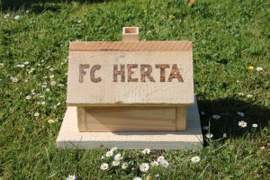 Sportheimanbau